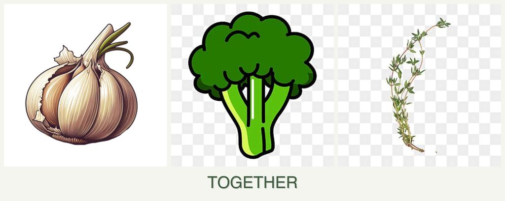Can you plant garlic, broccoli and thyme together?