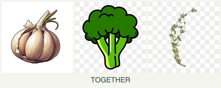 Can you plant garlic, broccoli and thyme together?