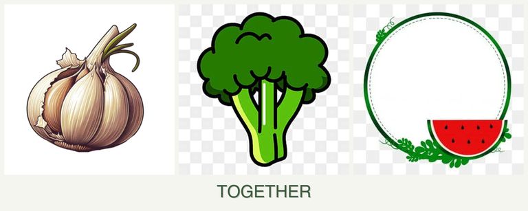 Can you plant garlic, broccoli and watermelons together?