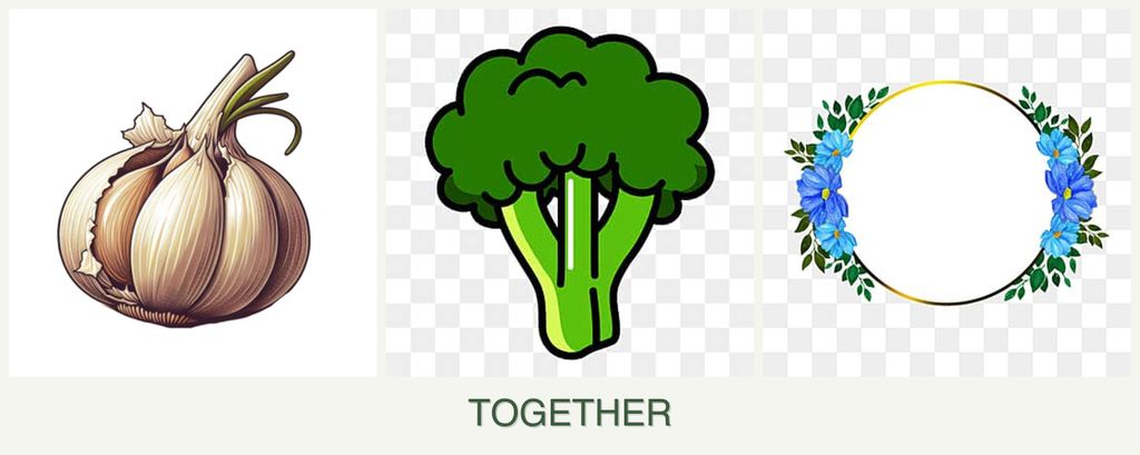 Can you plant garlic, broccoli and zinnias together?