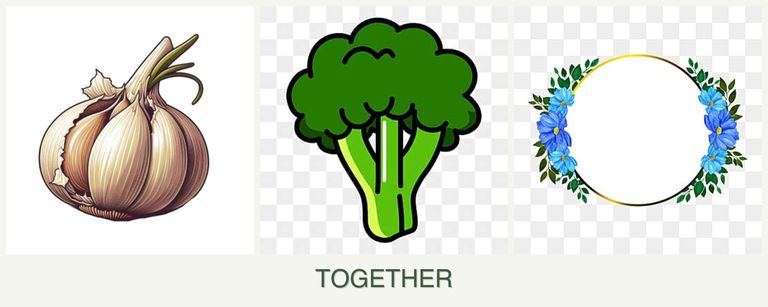 Can you plant garlic, broccoli and zinnias together?
