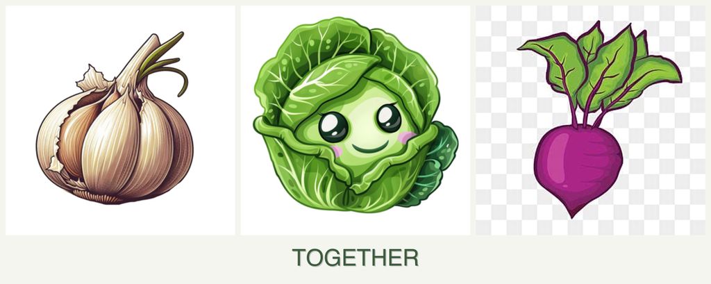 Can you plant garlic, cabbage and beets together?