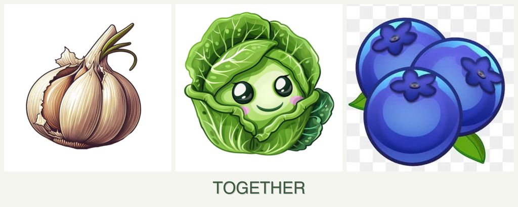 Can you plant garlic, cabbage and blueberries together?