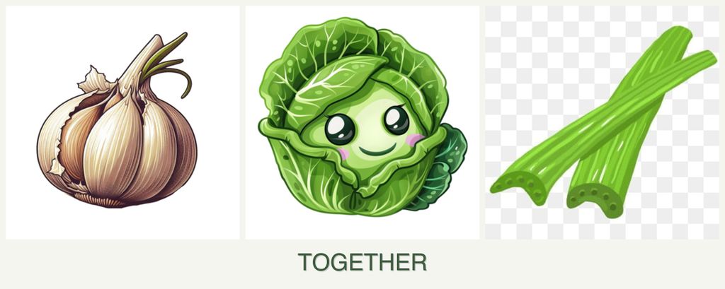 Can you plant garlic, cabbage and celery together?