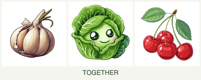 Can you plant garlic, cabbage and cherries together?