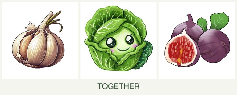 Can you plant garlic, cabbage and figs together?