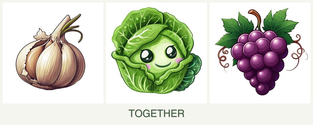 Can you plant garlic, cabbage and grapes together?