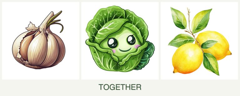 Can you plant garlic, cabbage and lemons together?