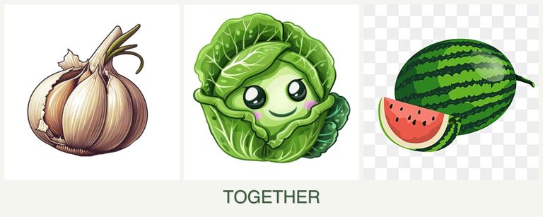 Can you plant garlic, cabbage and melons together?