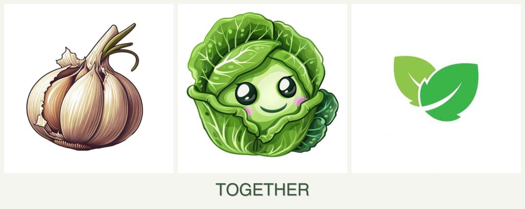 Can you plant garlic, cabbage and mint together?