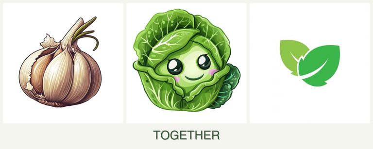 Can you plant garlic, cabbage and mint together?