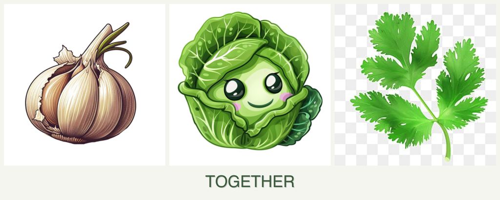Can you plant garlic, cabbage and parsley together?