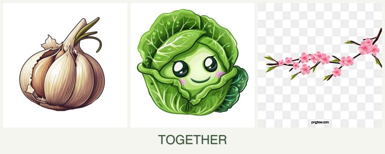 Can you plant garlic, cabbage and peaches together?