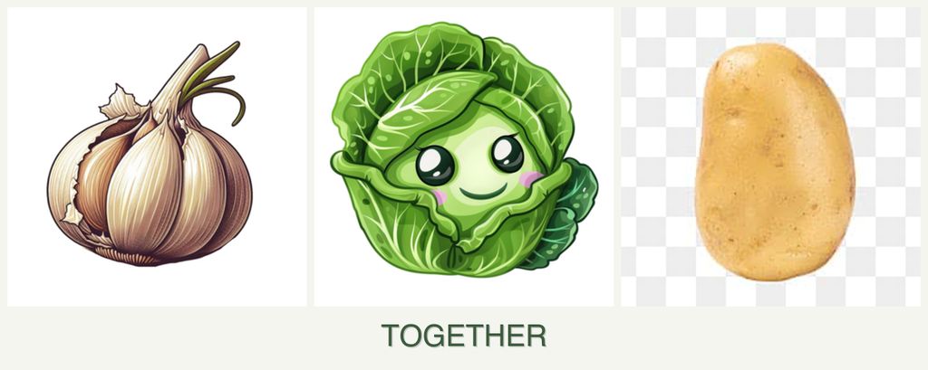 Can you plant garlic, cabbage and potatoes together?
