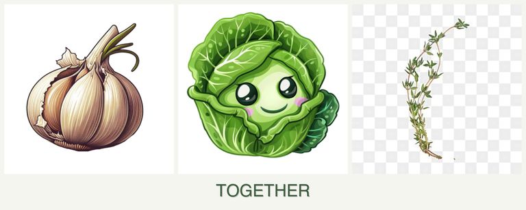 Can you plant garlic, cabbage and thyme together?
