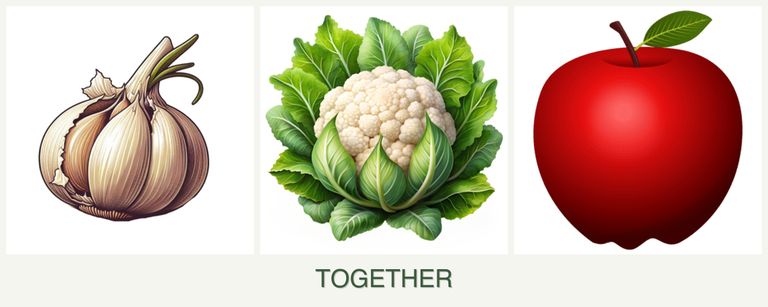 Can you plant garlic, cauliflower and apples together?