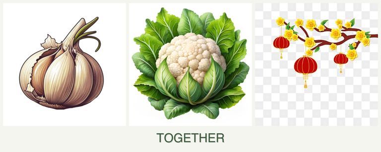 Can you plant garlic, cauliflower and apricots together?
