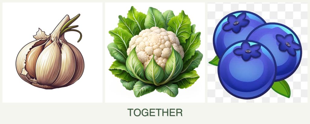 Can you plant garlic, cauliflower and blueberries together?