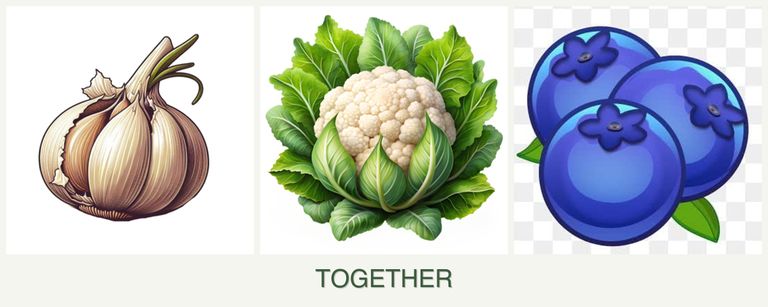 Can you plant garlic, cauliflower and blueberries together?