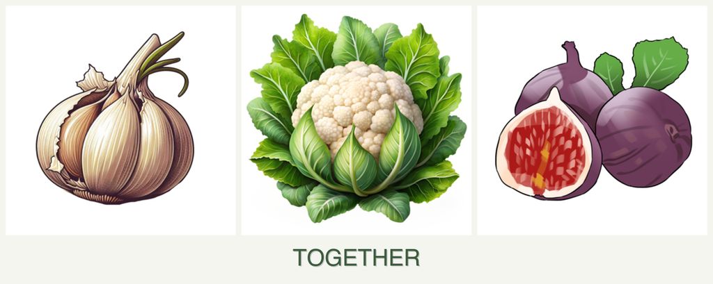 Can you plant garlic, cauliflower and figs together?