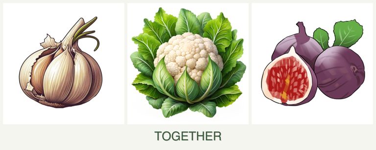 Can you plant garlic, cauliflower and figs together?