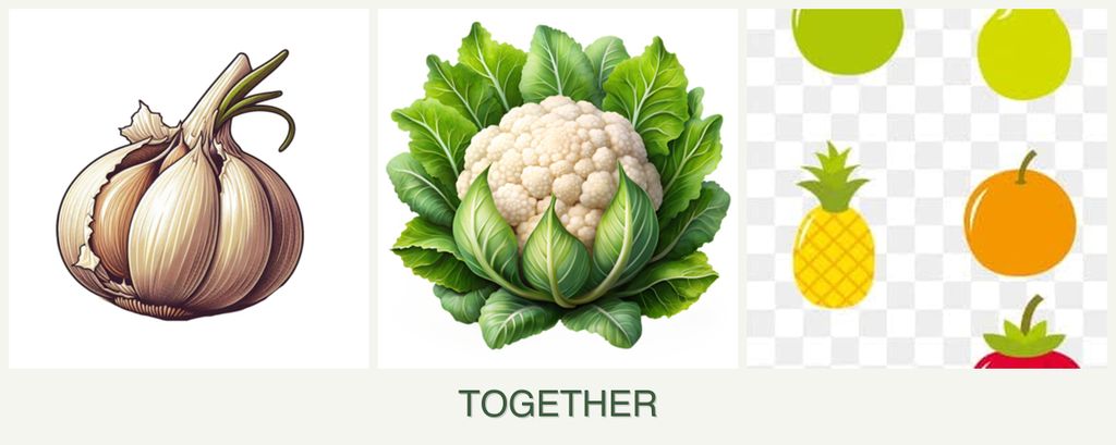 Can you plant garlic, cauliflower and pears together?