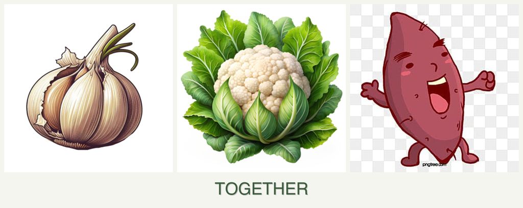 Can you plant garlic, cauliflower and sweet potatoes together?