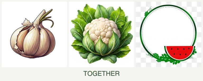 Can you plant garlic, cauliflower and watermelons together?