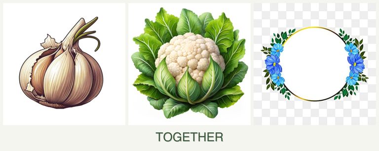 Can you plant garlic, cauliflower and zinnias together?