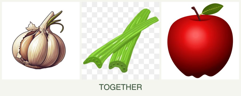 Can you plant garlic, celery and apples together?