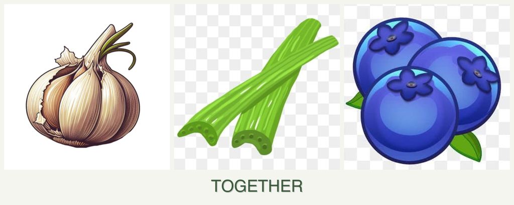Can you plant garlic, celery and blueberries together?
