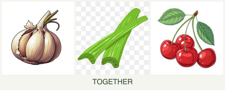 Can you plant garlic, celery and cherries together?