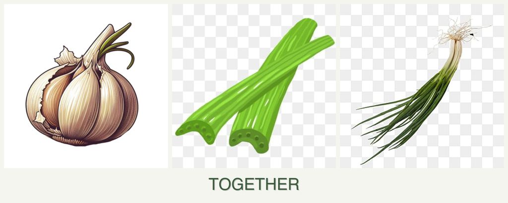 Can you plant garlic, celery and chives together?