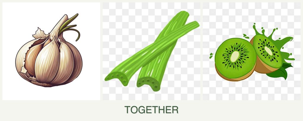 Can you plant garlic, celery and kiwi together?