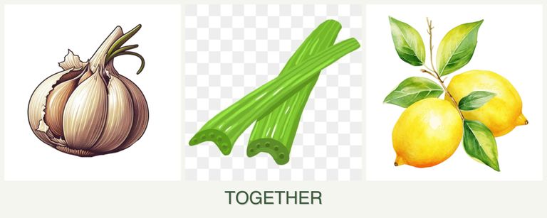 Can you plant garlic, celery and lemons together?
