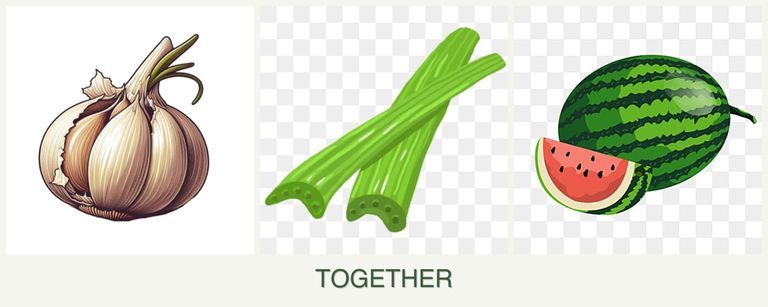 Can you plant garlic, celery and melons together?
