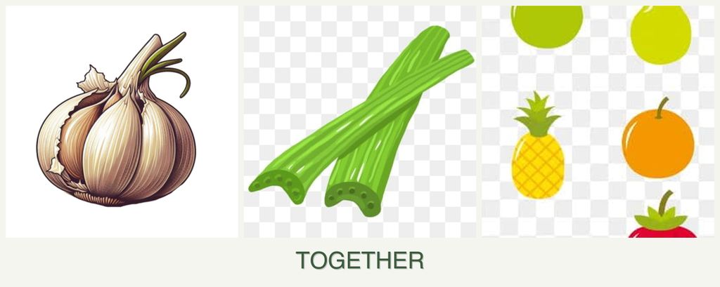 Can you plant garlic, celery and pears together?