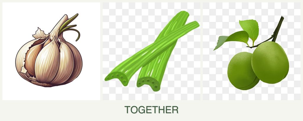 Can you plant garlic, celery and plums together?