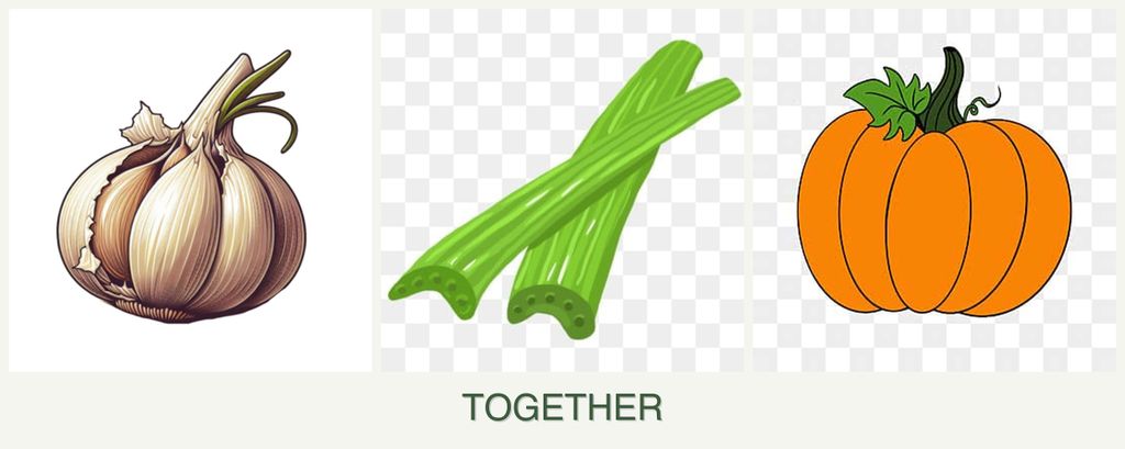 Can you plant garlic, celery and pumpkin together?