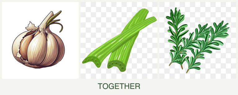 Can you plant garlic, celery and rosemary together?