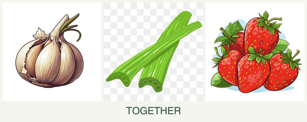 Can you plant garlic, celery and strawberries together?