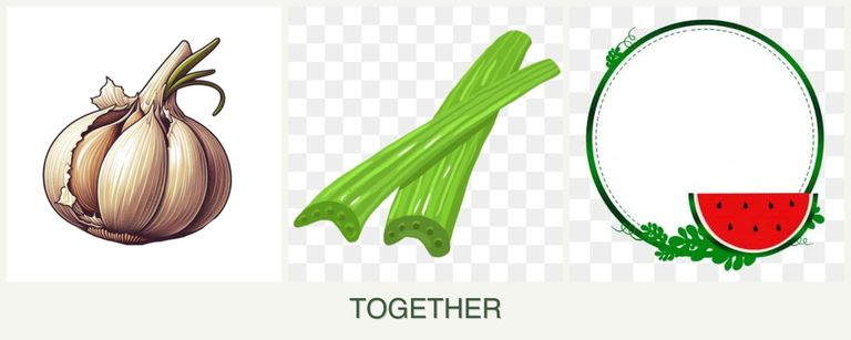 Can you plant garlic, celery and watermelons together?