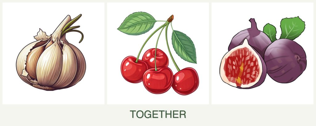 Can you plant garlic, cherries and figs together?