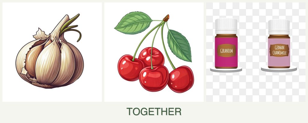Can you plant garlic, cherries and geraniums together?