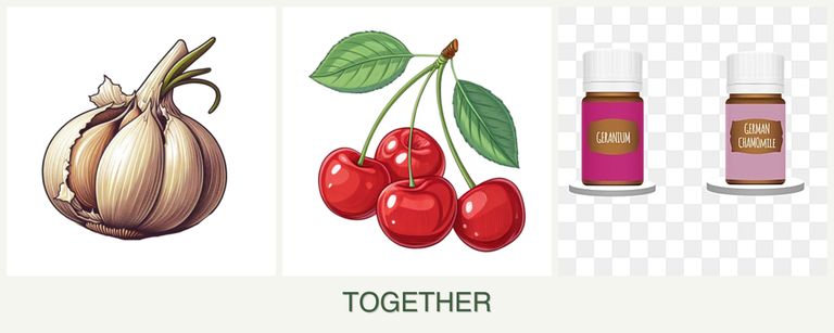 Can you plant garlic, cherries and geraniums together?