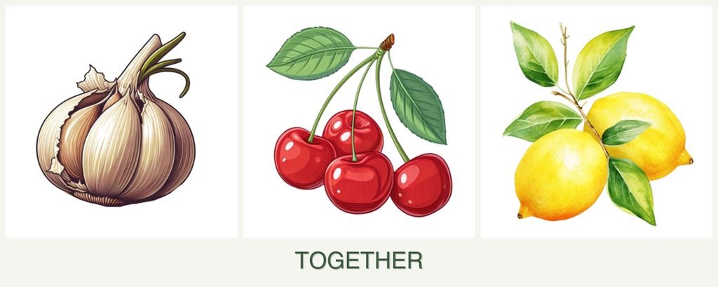 Can you plant garlic, cherries and lemons together?