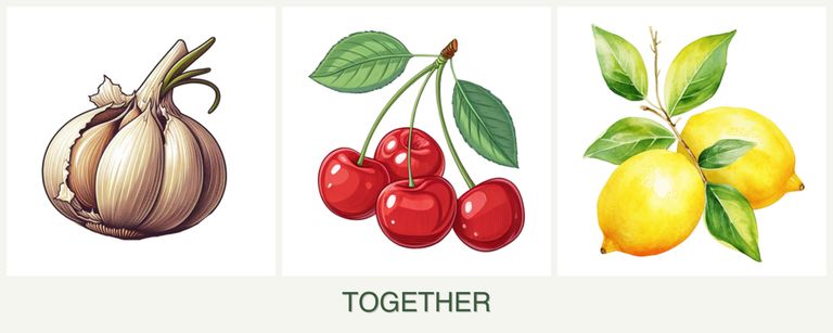 Can you plant garlic, cherries and lemons together?