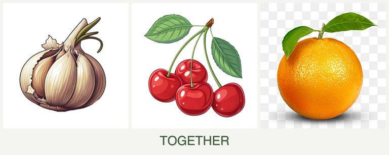 Can you plant garlic, cherries and oranges together?
