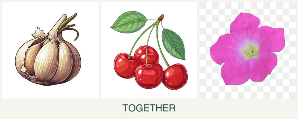 Can you plant garlic, cherries and petunias together?