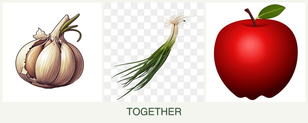 Can you plant garlic, chives and apples together?